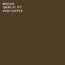 #503D25 - Irish Coffee Color Image